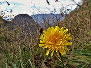 Foldone, Castel Regina, Pizzo Cerro ad anello da Catremerio-11ott22 - FOTOGALLERY